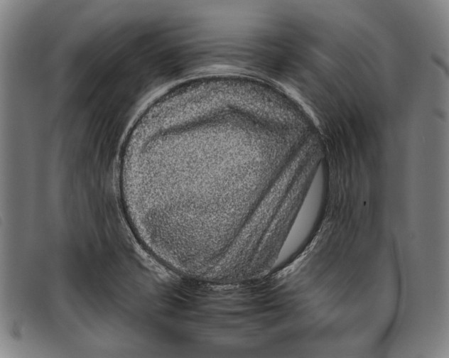 X0000097821421200804041348