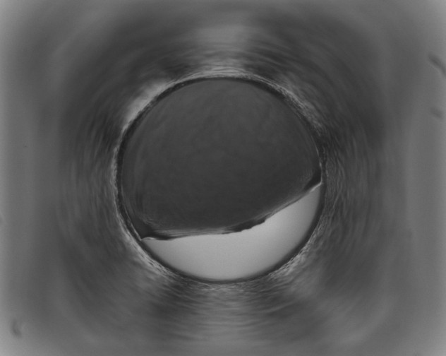 X0000097821422200804041348