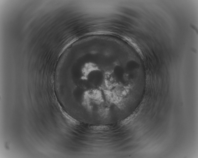 X0000097821425200804041348