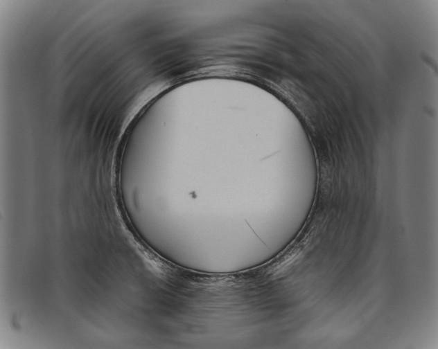 X0000097821426200804041348