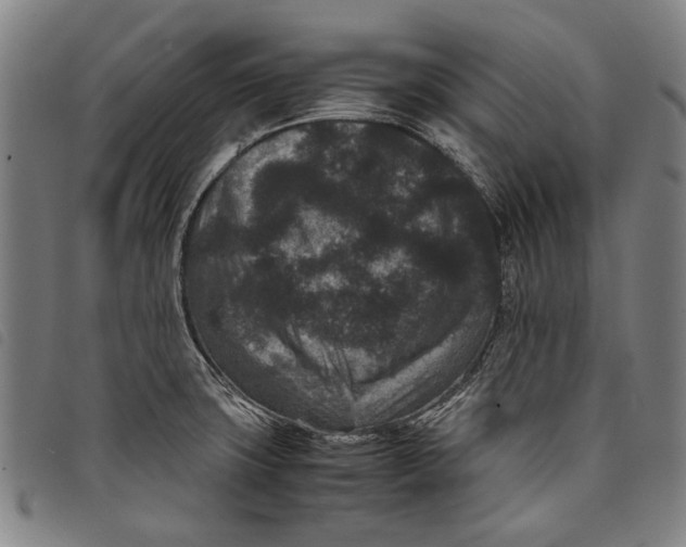 X0000097821427200804041348