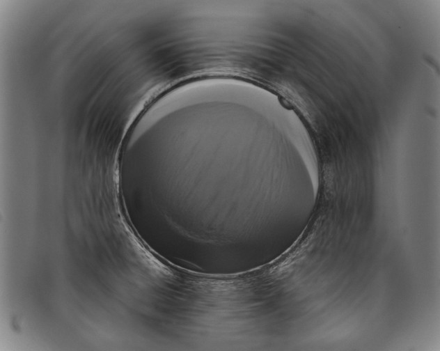 X0000097821428200804041348