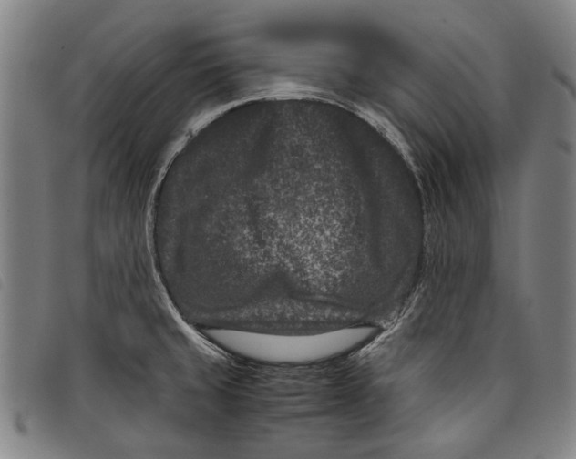 X0000097821429200804041348