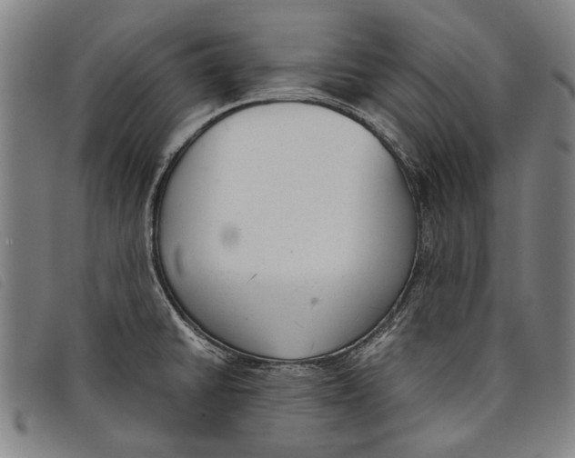 X0000097821430200804041348