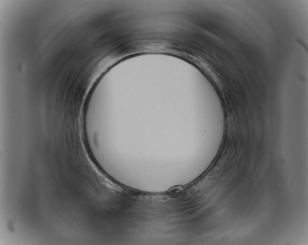 X0000097821432200804041348