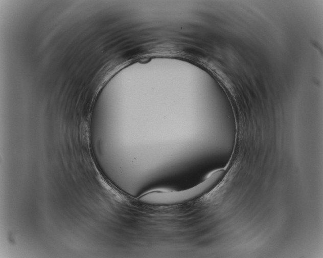 X0000097821433200804041348