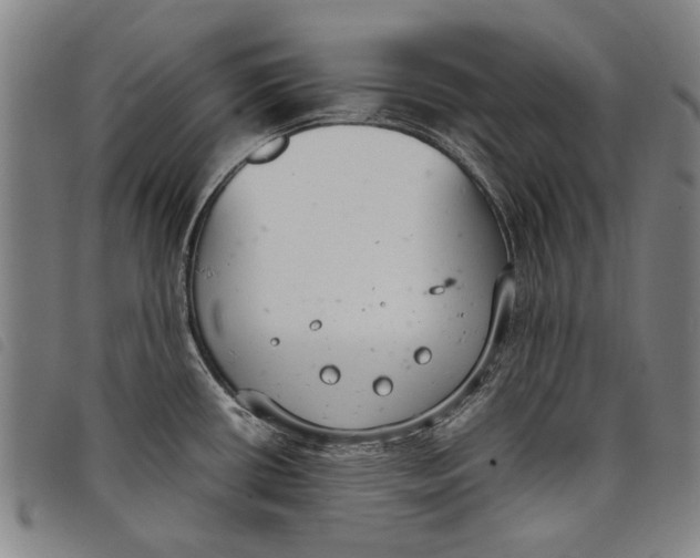 X0000097821434200804041349