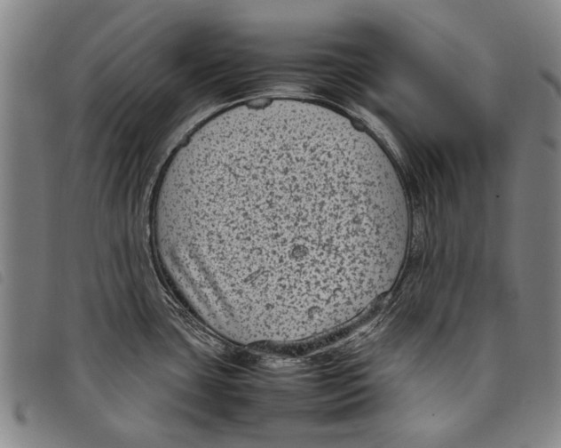 X0000097821435200804041349