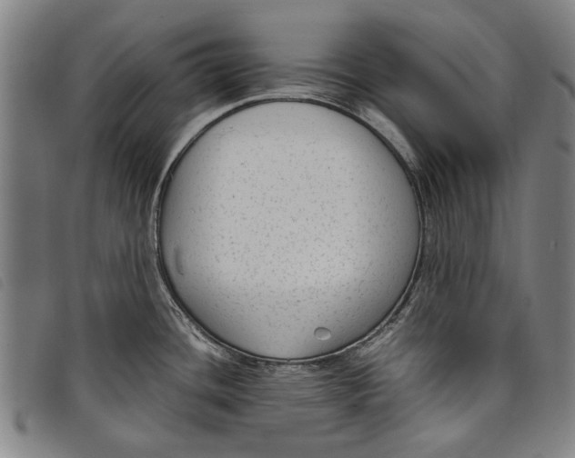 X0000097821436200804041349