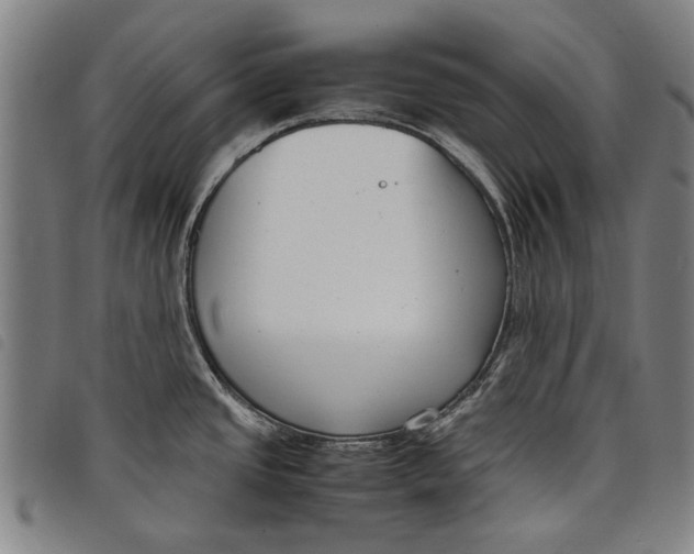 X0000097821437200804041349