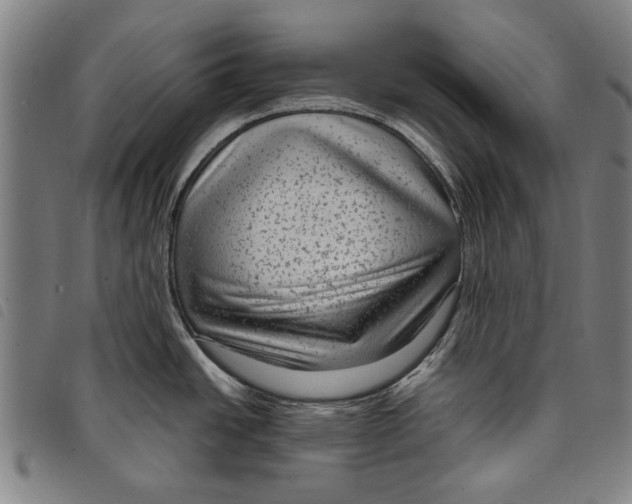 X0000097821438200804041349