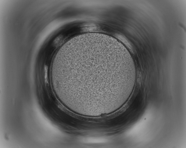 X0000097821439200804041349