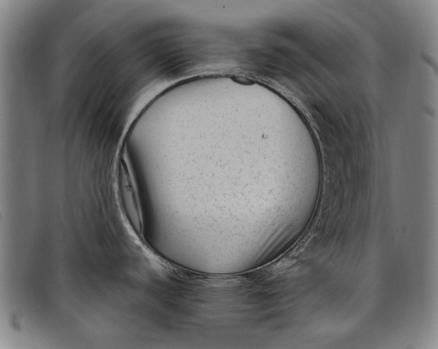 X0000097821440200804041349