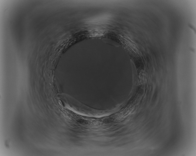 X0000097821441200804041348