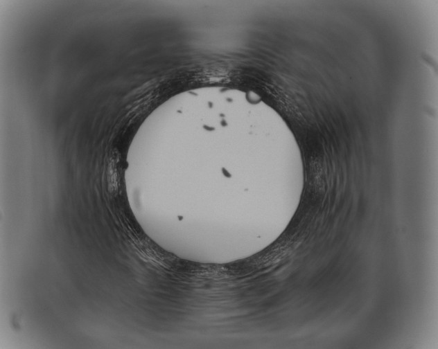 X0000097821442200804041348