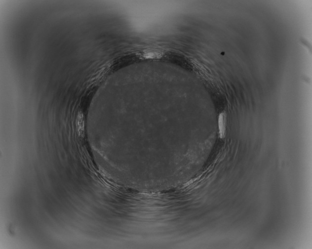 X0000097821443200804041348