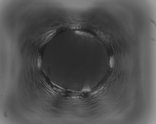 X0000097821444200804041348