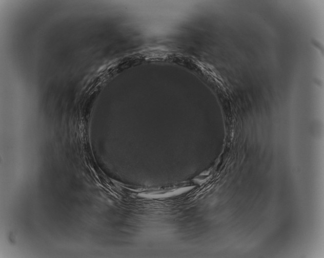 X0000097821445200804041348