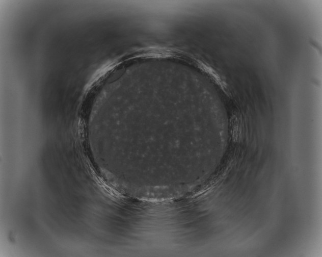 X0000097821448200804041348