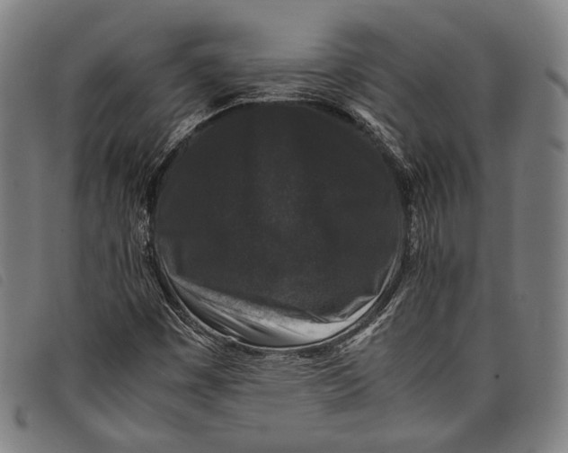 X0000097821449200804041348