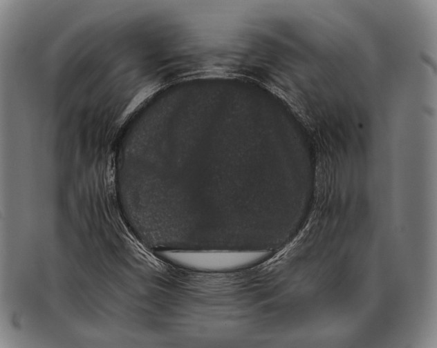 X0000097821450200804041348