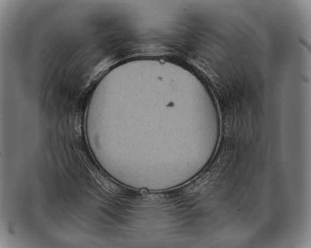 X0000097821451200804041348