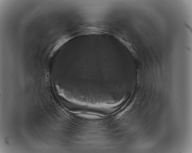 X0000097821453200804041348