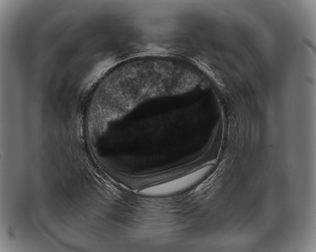 X0000097821455200804041348