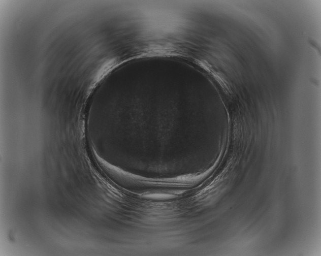 X0000097821459200804041348