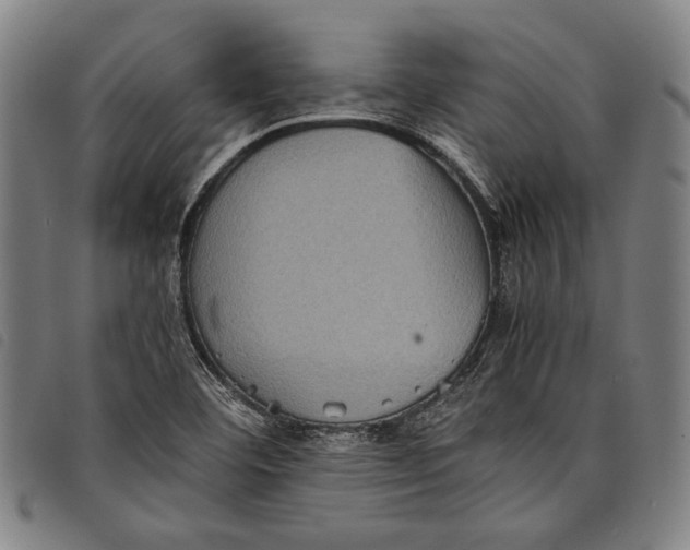 X0000097821460200804041348