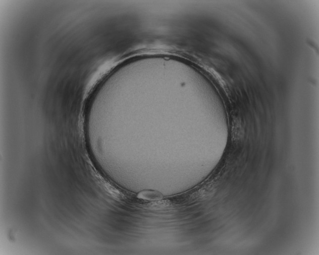 X0000097821464200804041348