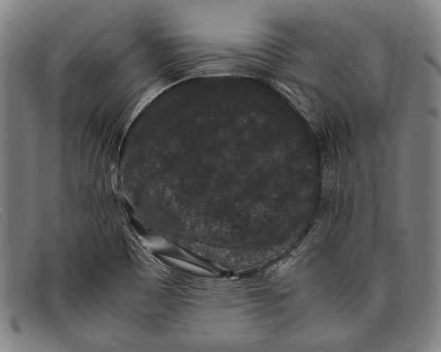 X0000097821465200804041348