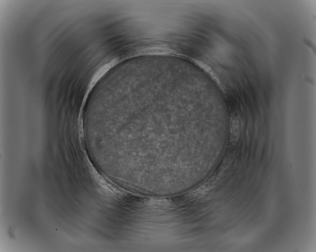 X0000097821466200804041348