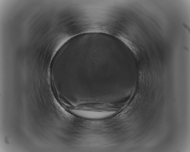 X0000097821468200804041348