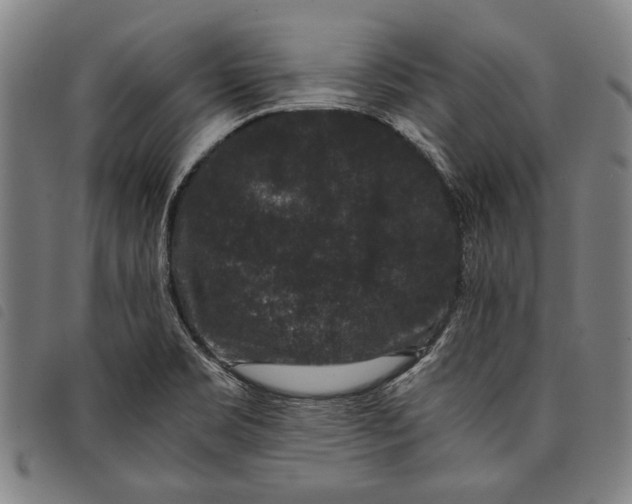 X0000097821469200804041348