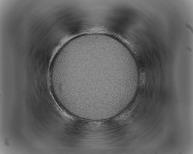 X0000097821470200804041348