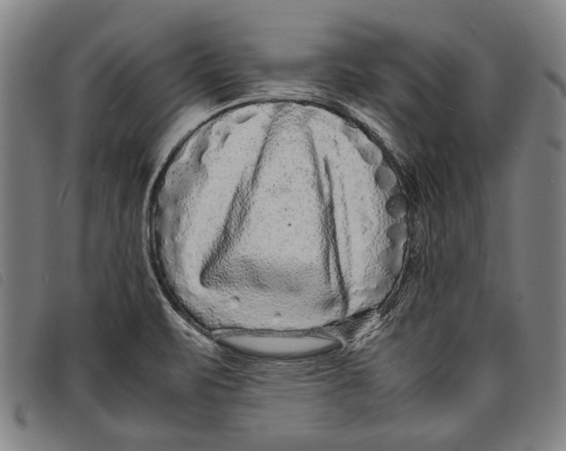 X0000097821471200804041348