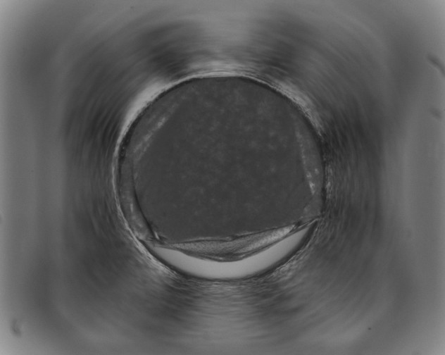 X0000097821472200804041348