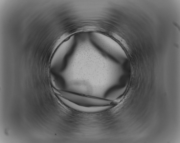 X0000097821473200804041347