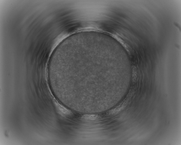 X0000097821474200804041347