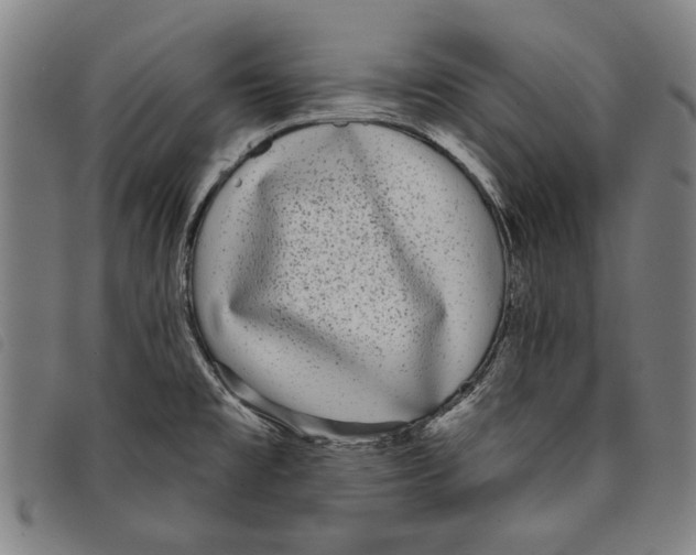 X0000097821477200804041347