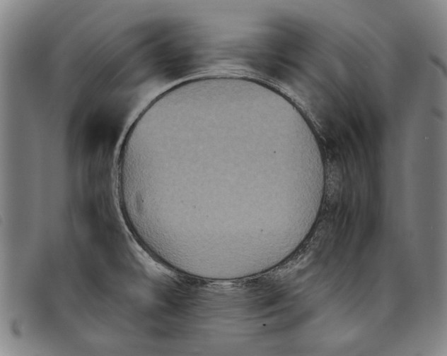 X0000097821478200804041347