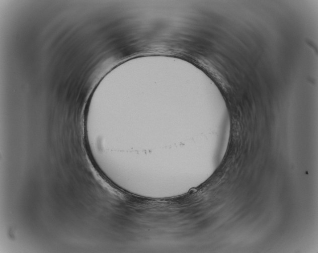 X0000097821479200804041347