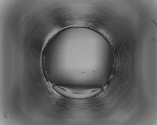 X0000097821480200804041347