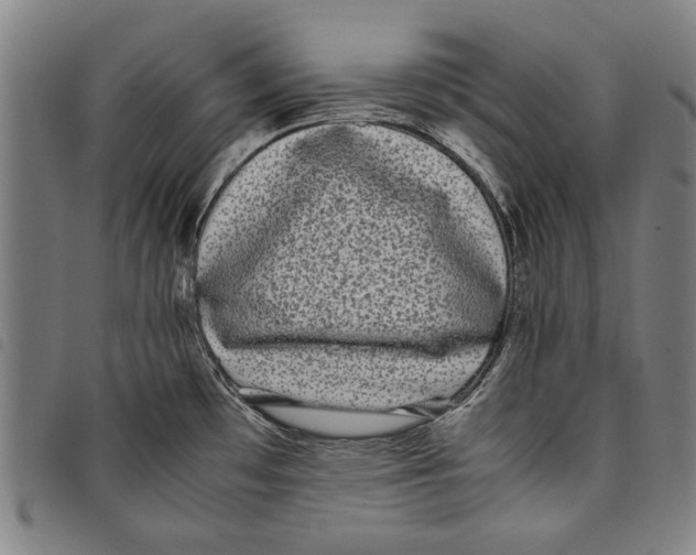 X0000097821481200804041347