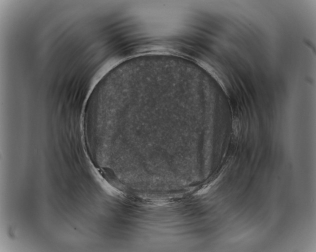 X0000097821482200804041347