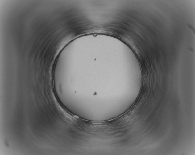 X0000097821483200804041347