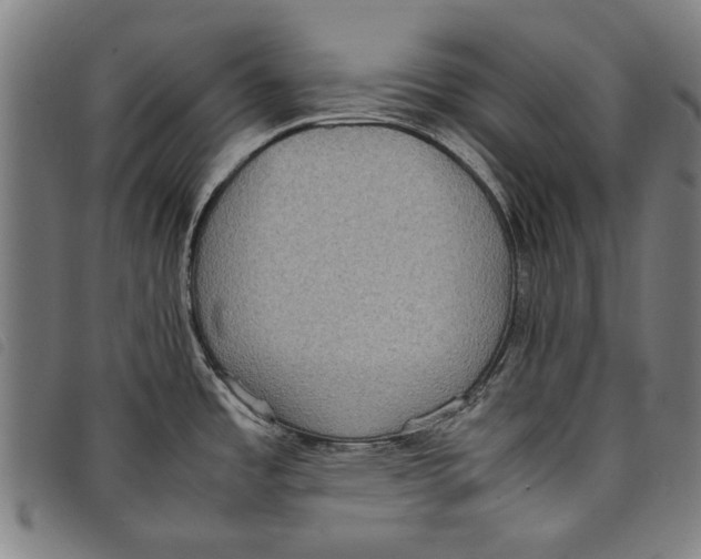 X0000097821485200804041347