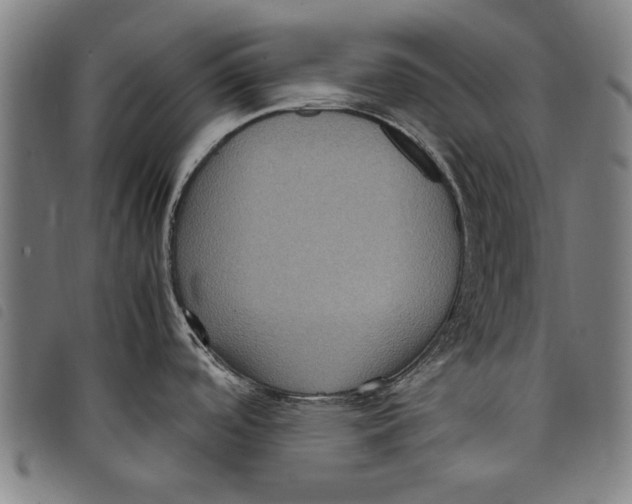 X0000097821488200804041347