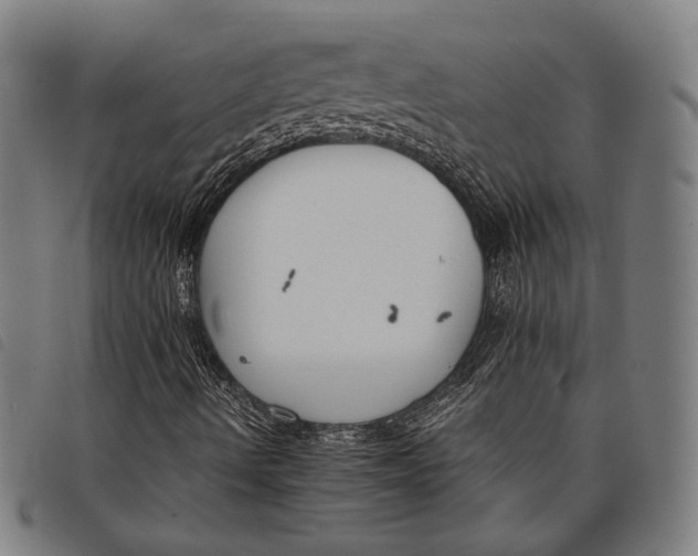 X0000097821490200804041347